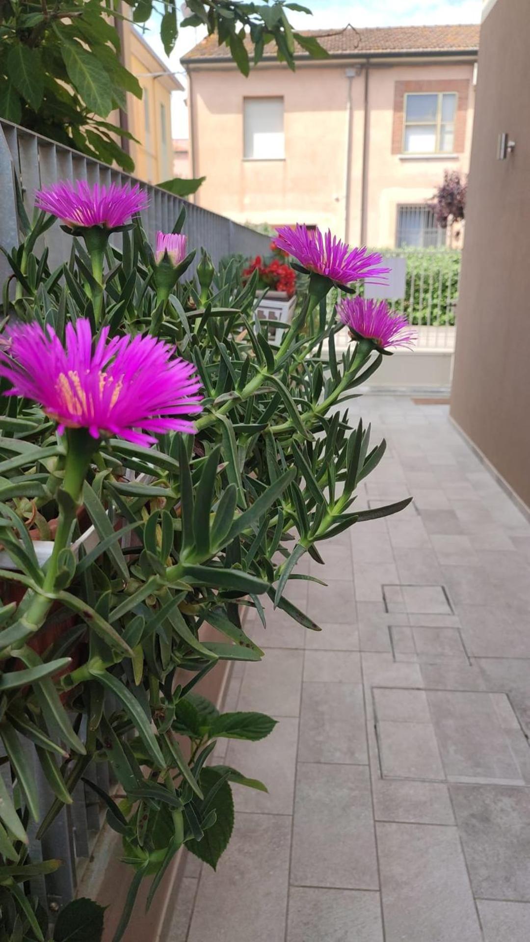 Darsena B&B Tra Arte E Mare Ravenna Buitenkant foto